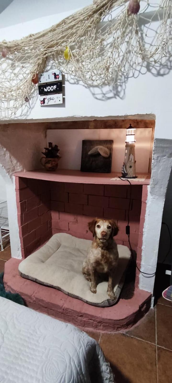 La Casa De La Abuela Lägenhet Pinos Genil Exteriör bild